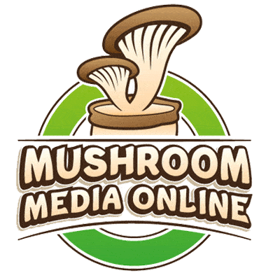 Mushroom Media Online