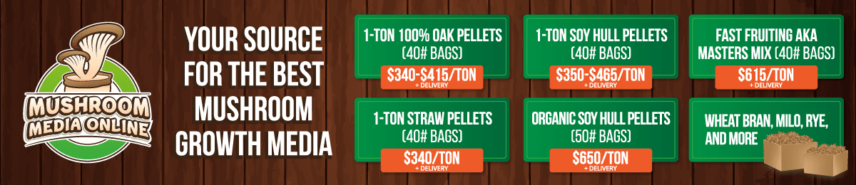 MushroomMediaOnline  Pricing