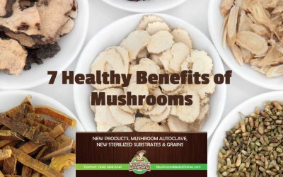 7 Health Benefits of Mushrooms
