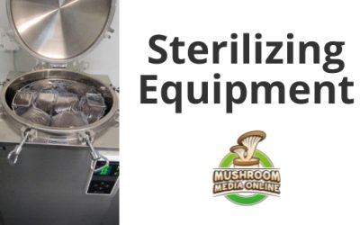 How to Effectively Sterilize Your Mushroom Equipment