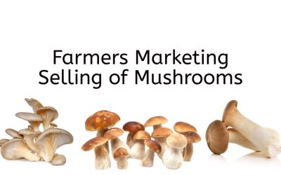 Farmers Marketing Selling of Mushrooms