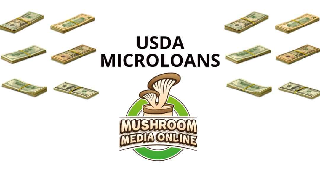 How to Apply for USDA Microloans