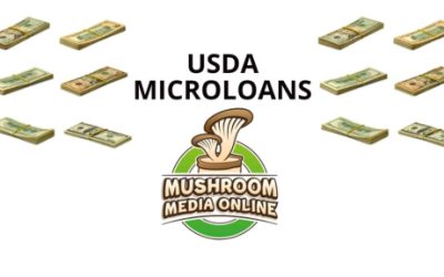 How to Apply for USDA Microloans