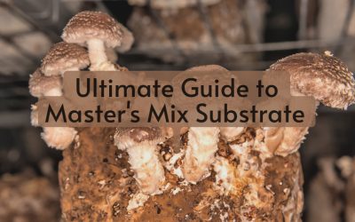 Ultimate Guide to Masters Mix Substrate