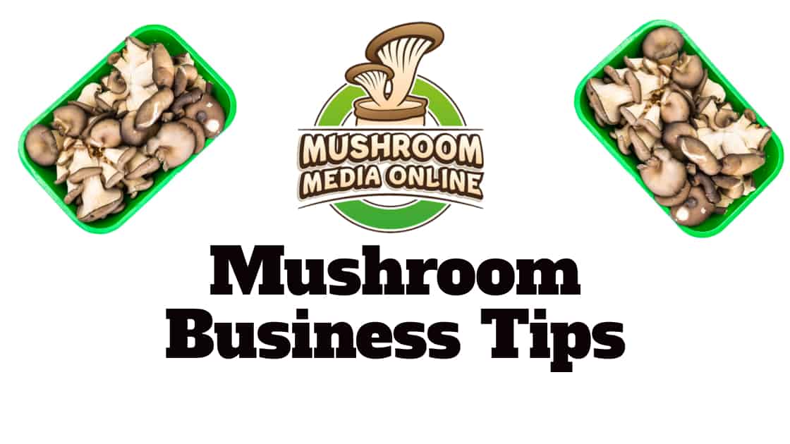 Mushroom Business Tips