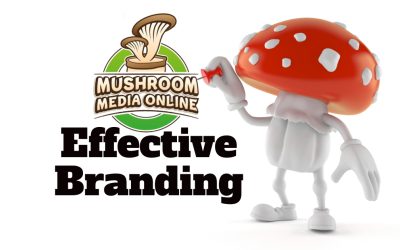 Effective Branding for your mushroom business