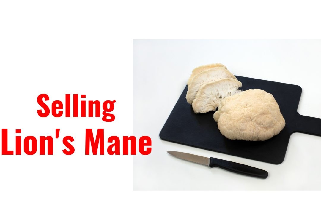 Lions Mane Sales and Yields