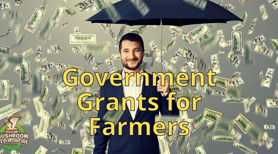 Government Grants for Farmers: Supporting Agriculture and Fostering Growth