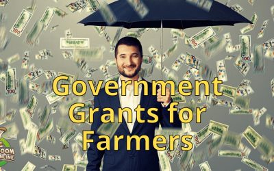 Government Grants for Farmers: Supporting Agriculture and Fostering Growth