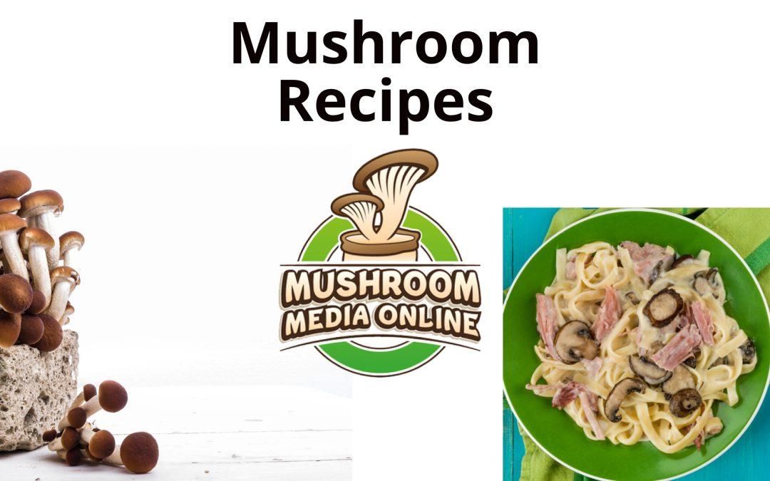 Innovative Mushroom Recipes: Exploring the Creative World of Mushroom Cuisine