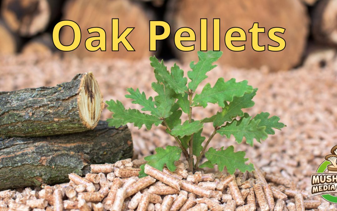 Oak Pellets for mushroom substrate