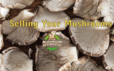 Selling Your Mushrooms