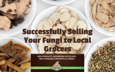Mushroom Magic: A Guide to Successfully Selling Your Fungi to Local Grocers