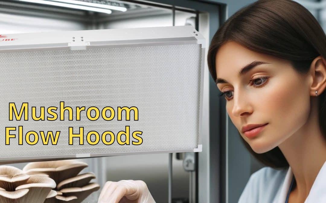 The Sterile Solution: Mushroom Flow Hoods for Successful Cultivation