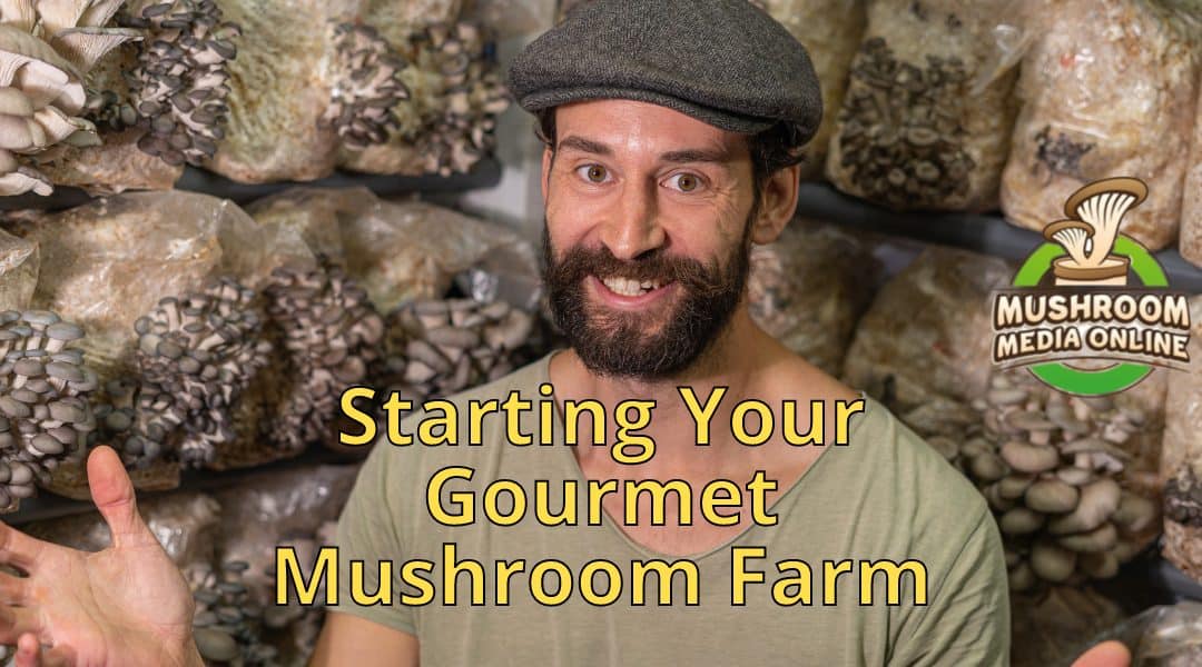 Starting Your Gourmet Mushroom Farm: A Step-by-Step Guide