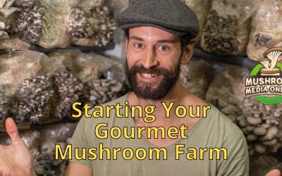 Starting Your Gourmet Mushroom Farm: A Step-by-Step Guide