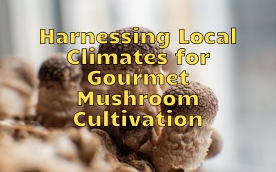Harnessing Local Climates for Gourmet Mushroom Cultivation