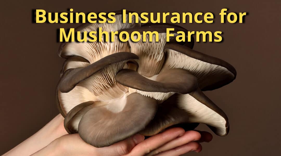 Business Insurance for Mushroom Farms