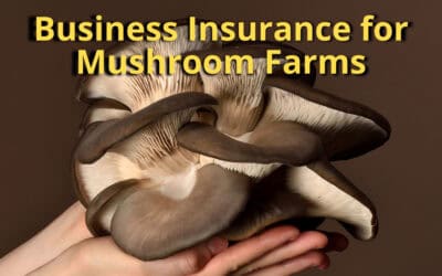 Business Insurance for Mushroom Farms