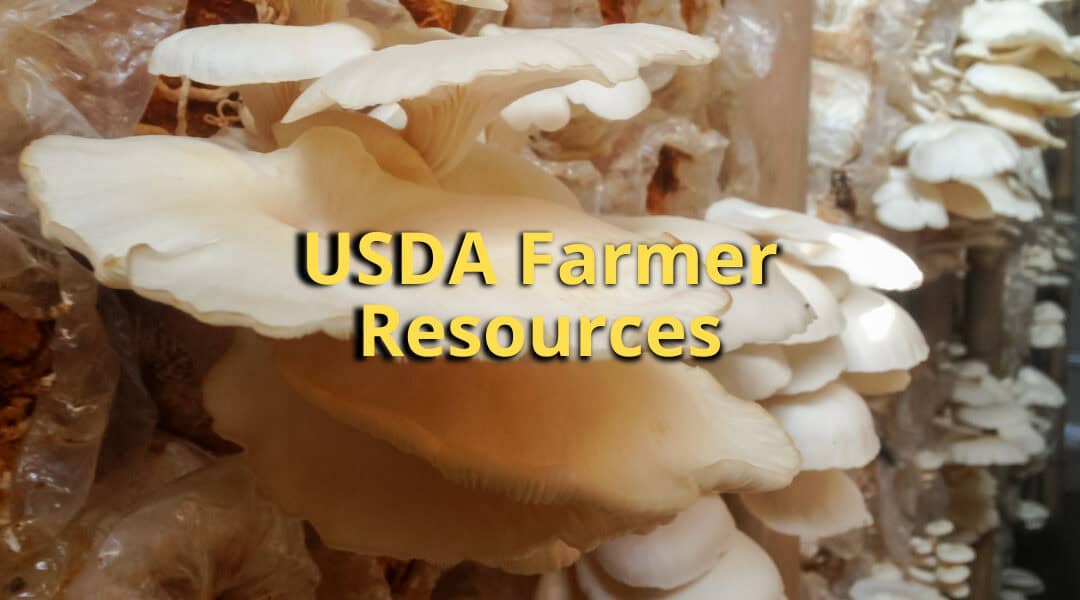 USDA Farmer Resources
