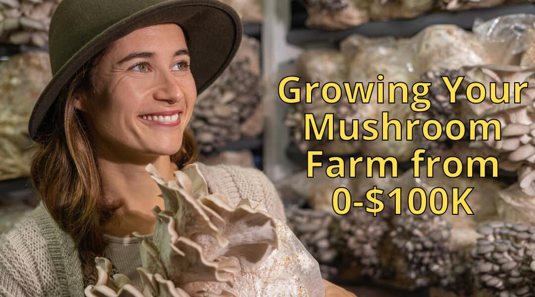 Mushroom Farming from Zero to 6 Figures