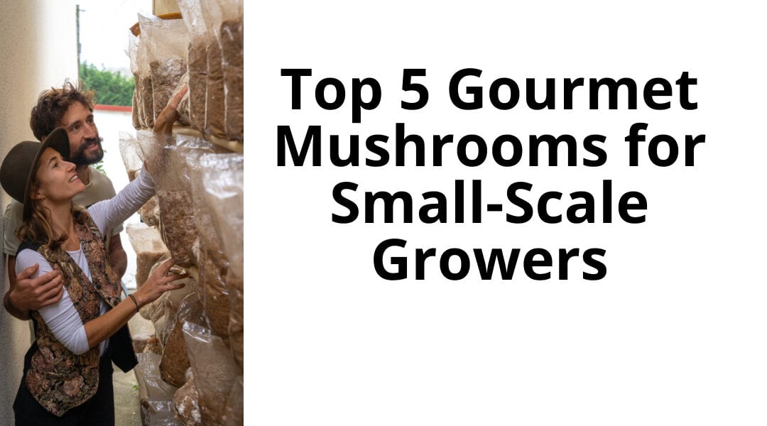 Top 5 Gourmet Mushrooms for Small-Scale Growers