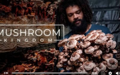 Mike Crowe Cultivating Gourmet and Medicinal Mushrooms
