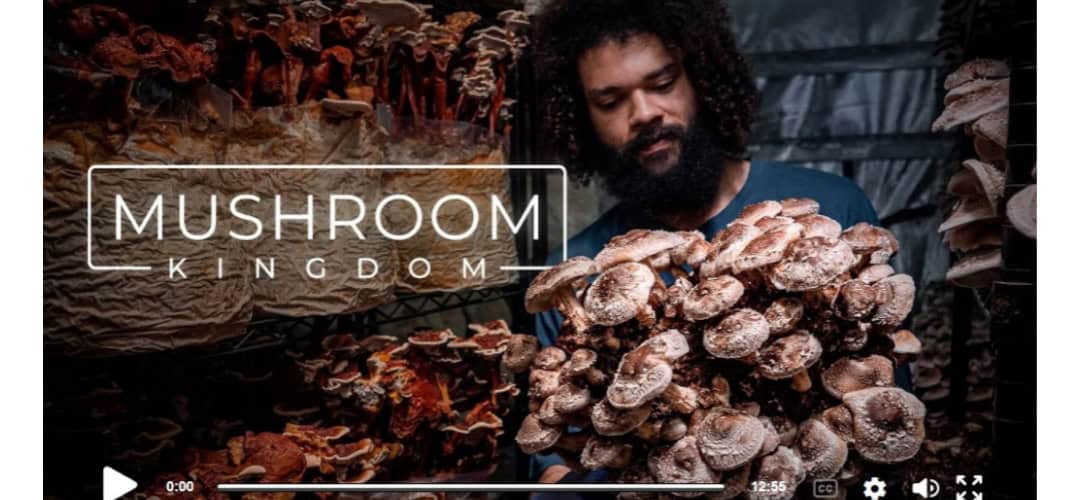 Mike Crowe Cultivating Gourmet and Medicinal Mushrooms