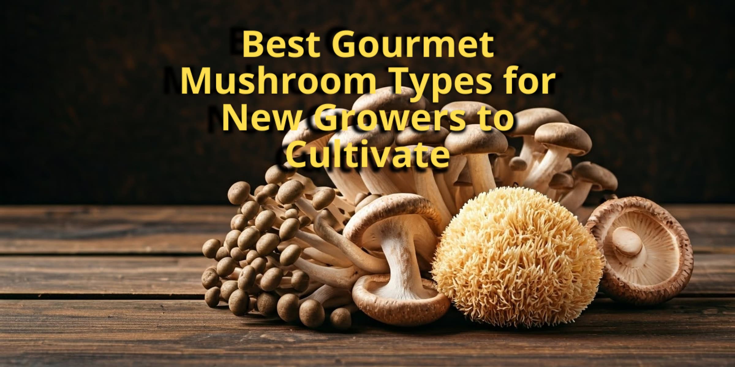 Mushroom Varieties