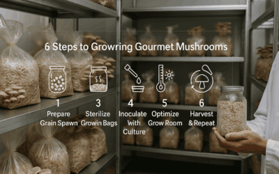 6 Steps to Growing Gourmet Mushrooms Indoors
